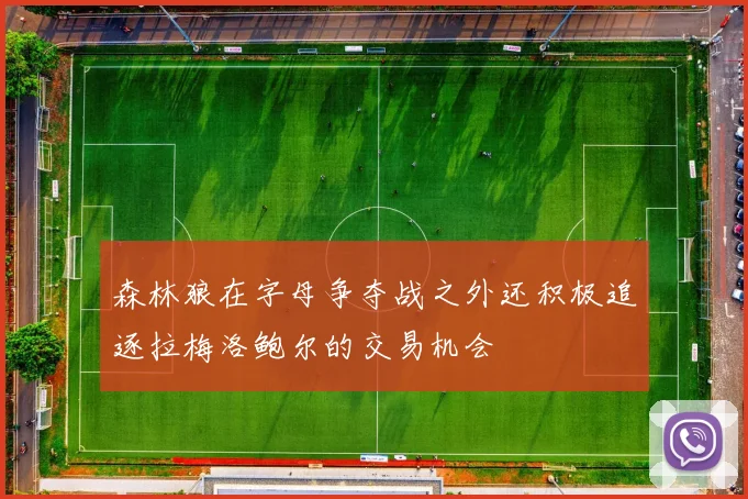 森林狼在字母争夺战之外还积极追逐拉梅洛鲍尔的交易机会