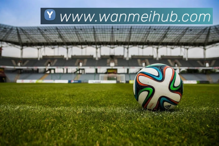 完美体育发展历程